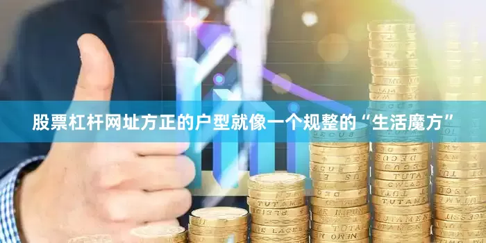 股票杠杆网址方正的户型就像一个规整的“生活魔方”