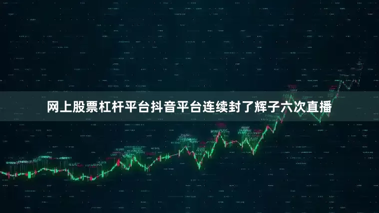 网上股票杠杆平台抖音平台连续封了辉子六次直播